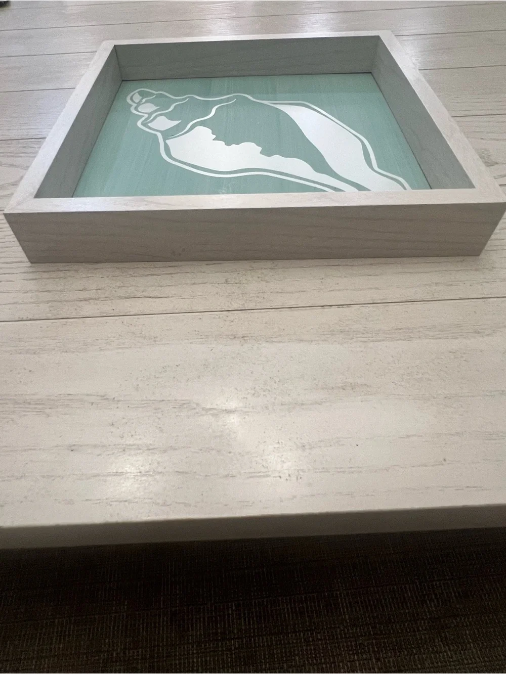 Coastal Conch Shell Framed Wall Decor White on Blue/Green Distressed Back - 10”